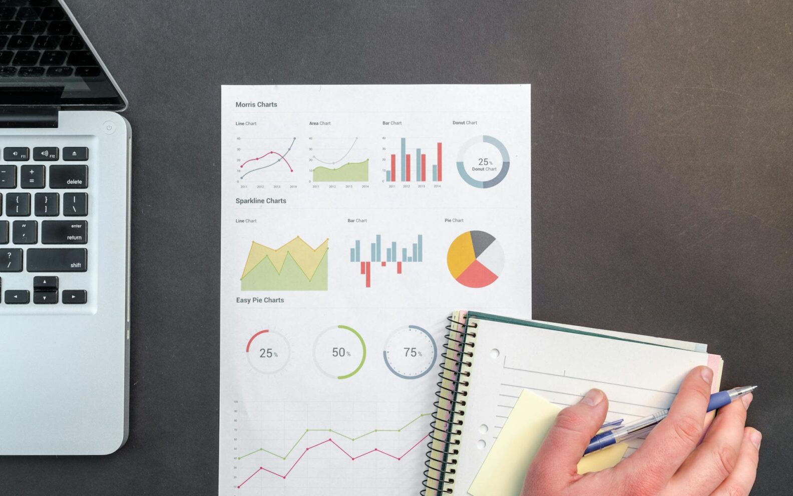 Data Scientist